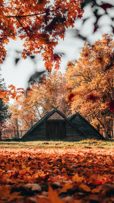 露营时光-拍信图库