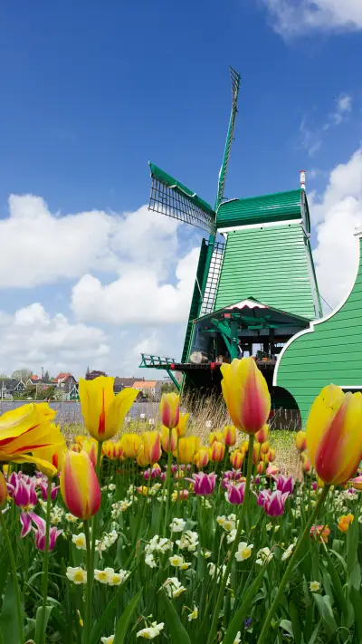 荷兰-锐景创意 - Screenshot 1