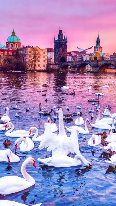 布拉格中世纪奇谭