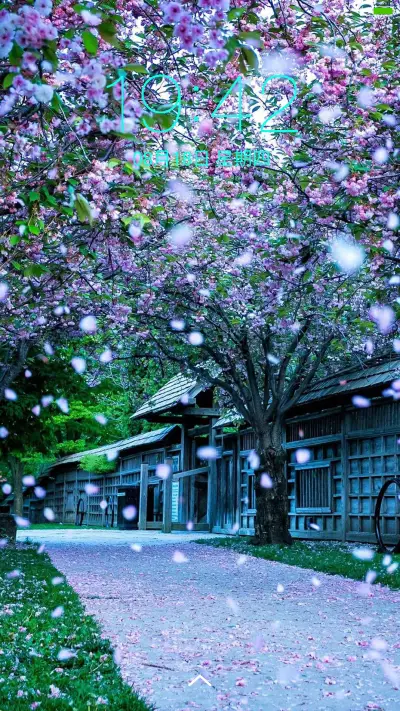 樱花树下（好评抽红包） - Screenshot 1