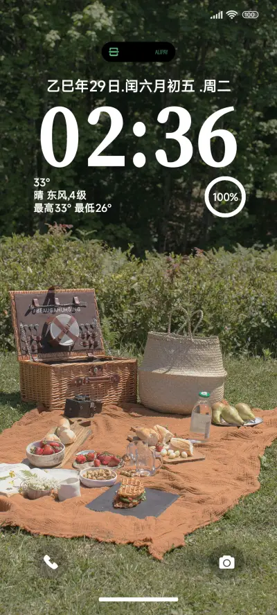 简约夏日绿色 - Screenshot 1