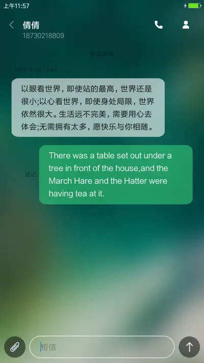 苹果iOS - Screenshot 8