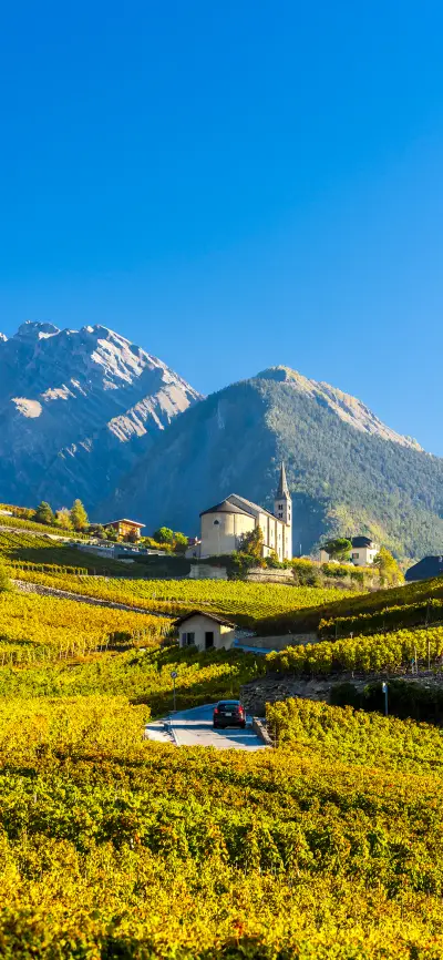 美丽小清新自然风光壁纸-锐景创意 - Screenshot 1