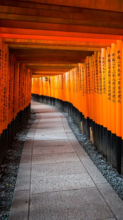 有些路，只能一个人走