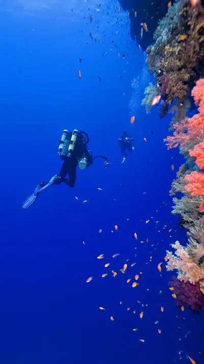 极限潜水-拍信图库