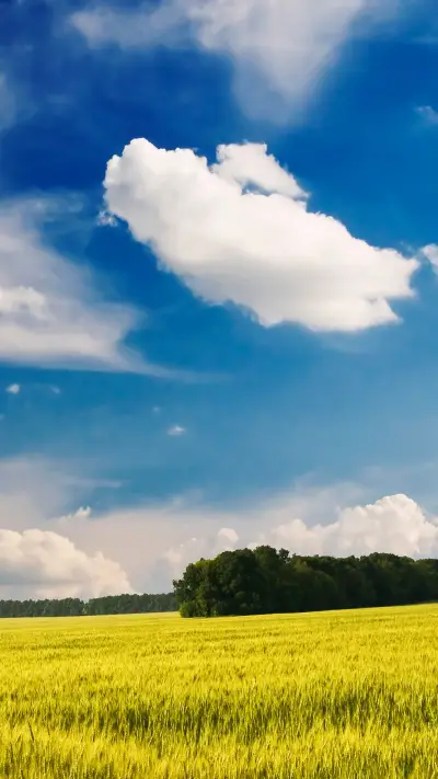 护眼蓝天绿草-拍信图库