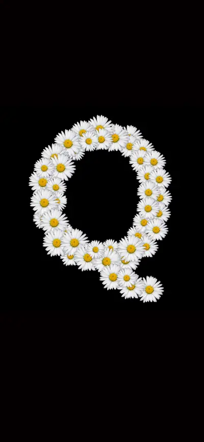 简约英文字母壁纸-锐景创意