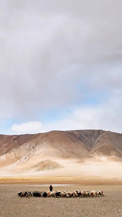 时间的残酷 - Screenshot 1