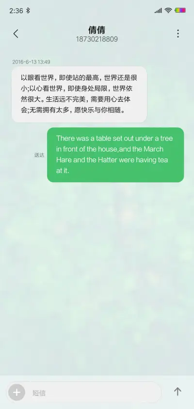 绿森OS - Screenshot 8