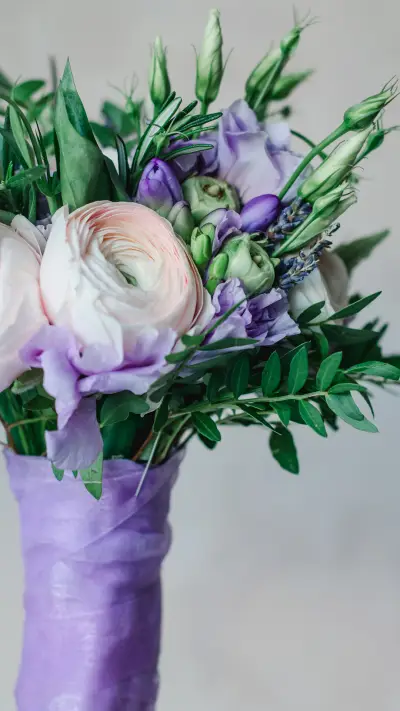 毛茛-锐景创意 - Screenshot 1