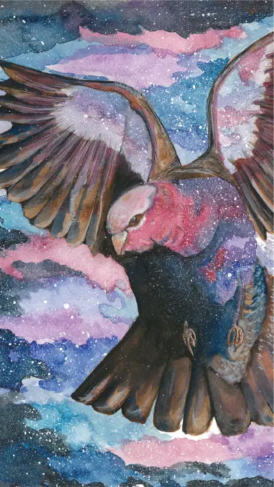 小米壁纸大赛入围作品29