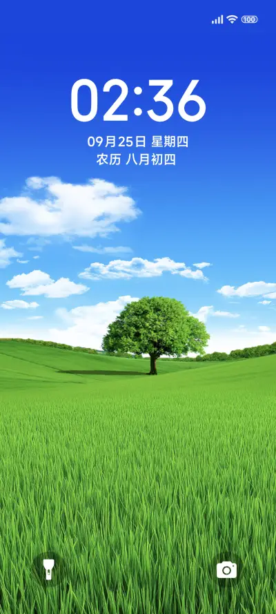 独树一帆 - Screenshot 1