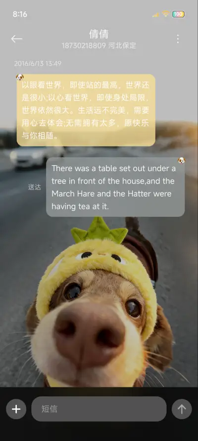 Hello 菠萝包小狗 - Screenshot 8