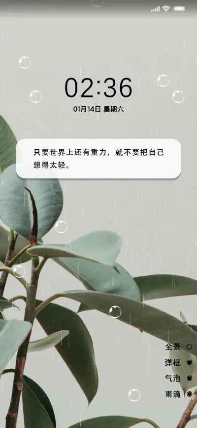 简约护眼绿植