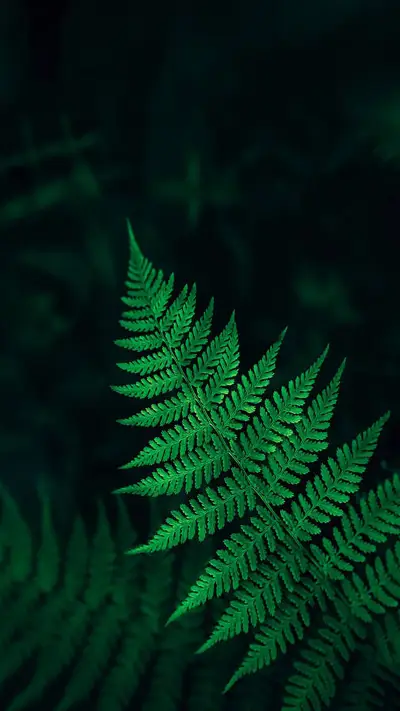 色彩的韵律-拍信图库