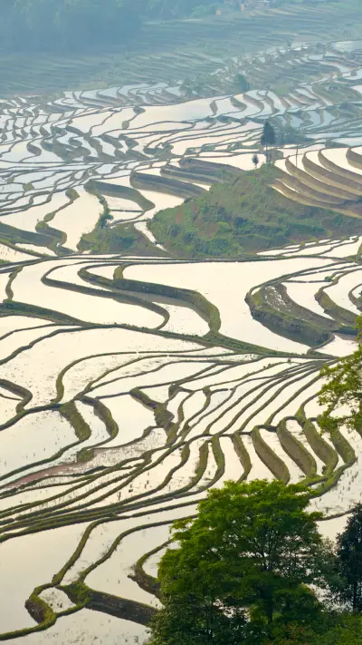自然风景-拍信图库