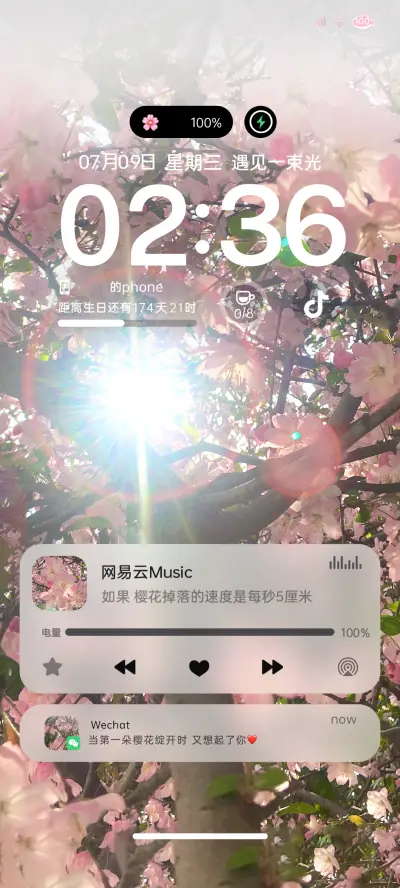 ins风樱花丁达尔