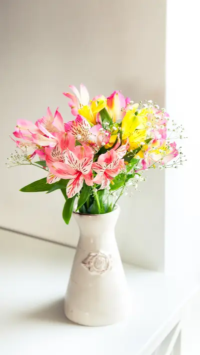 花的世界-锐景创意