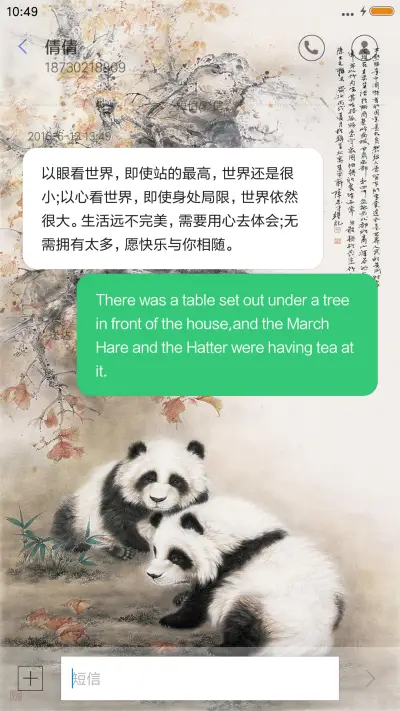 国宝熊猫 - Screenshot 8