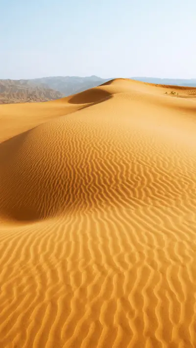 沙漠中的珠穆拉玛峰