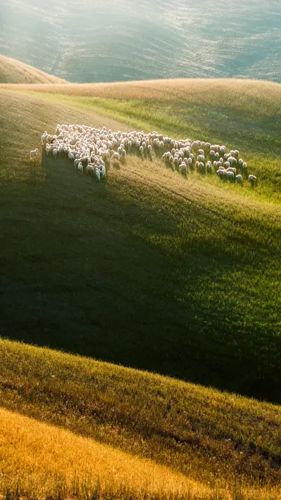 自然风景-拍信图库 - Screenshot 1