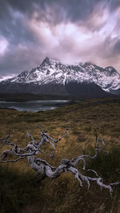 旅行中会让你后悔的事 - Screenshot 1