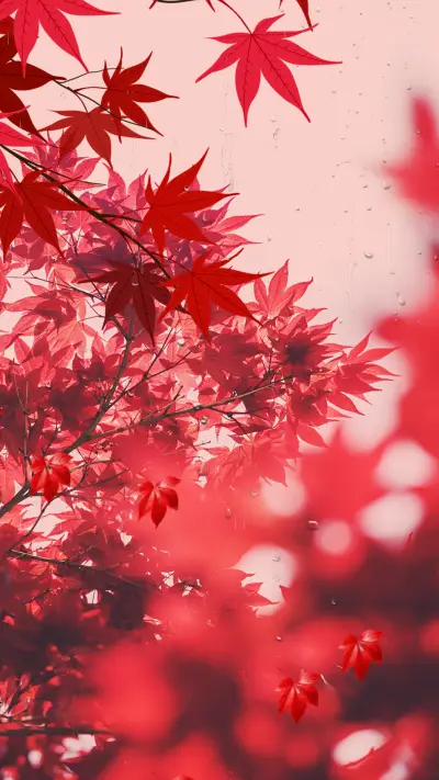 丹枫迎秋 - Screenshot 1