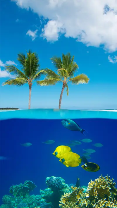 度假天堂毛里求斯岛