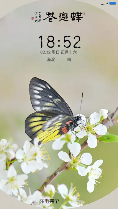 蝶恋花