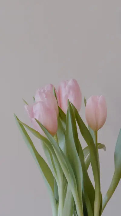 温柔花事 - Screenshot 1