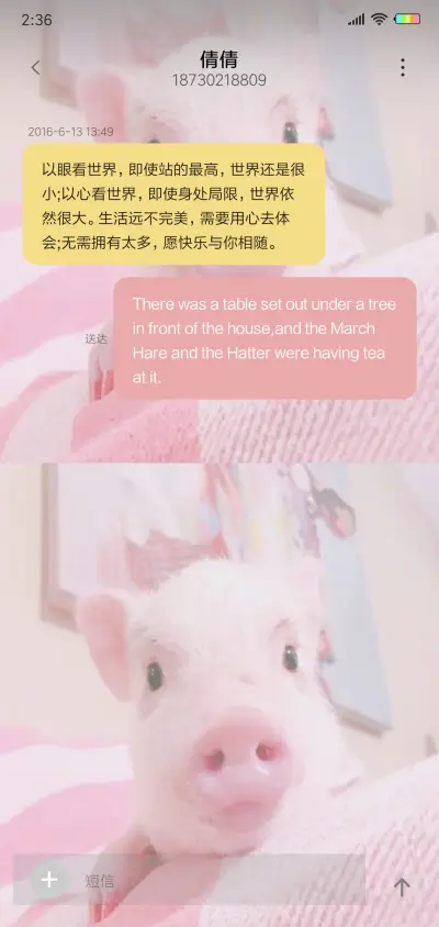 可爱小粉猪G - Screenshot 8