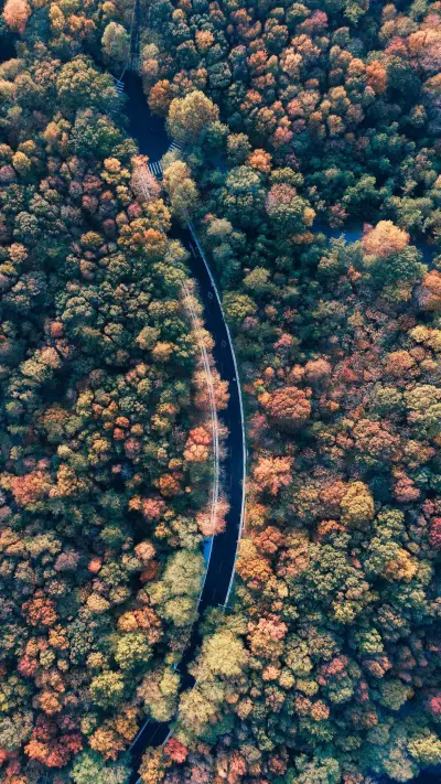 漫游南京城 - Screenshot 1