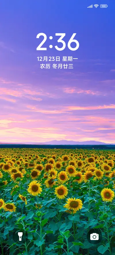 唯美清新向日葵