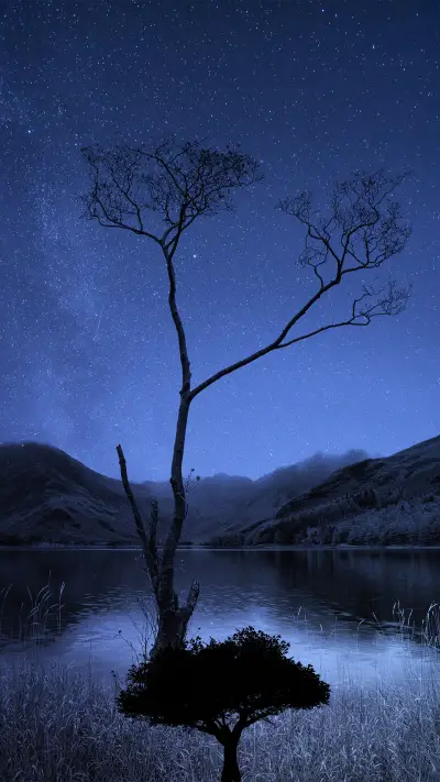 仰望星辰-拍信图库