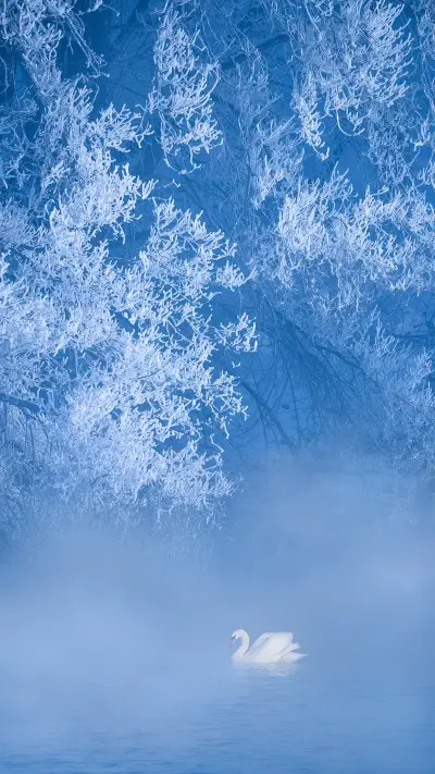 雪景拍摄有哪些技巧？