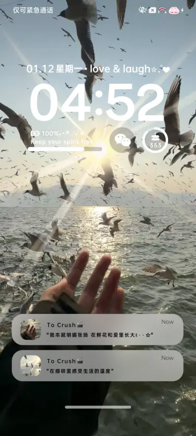 ins四季爱的共鸣 - Screenshot 2