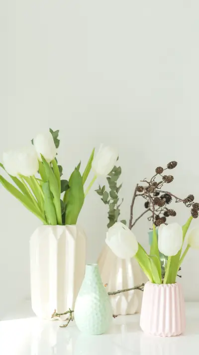 花花的世界-锐景创意