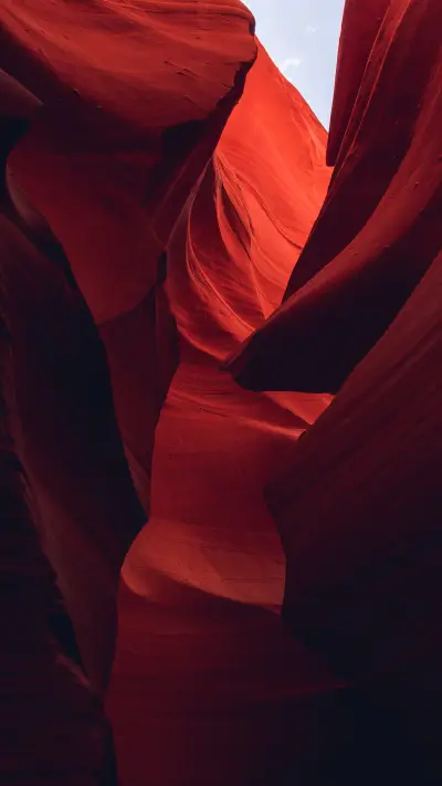 感受自然的芳香