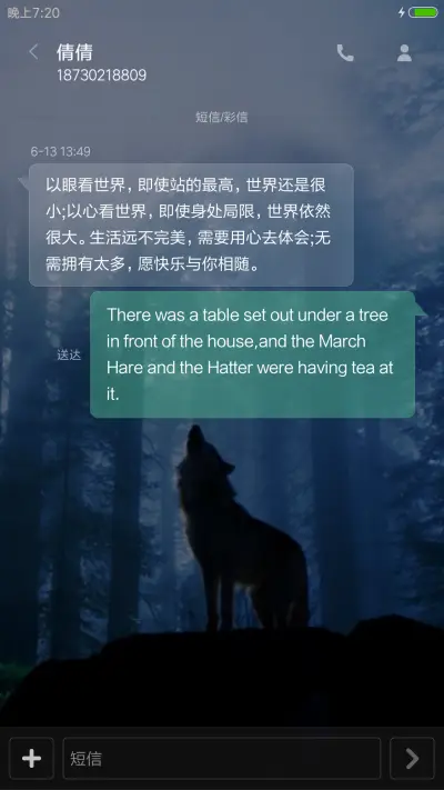 恶狼传说 - Screenshot 8