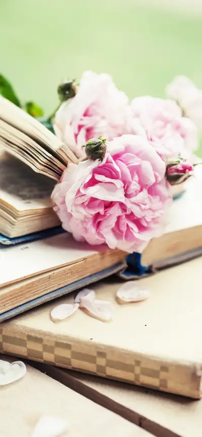 清新控-拍信图库