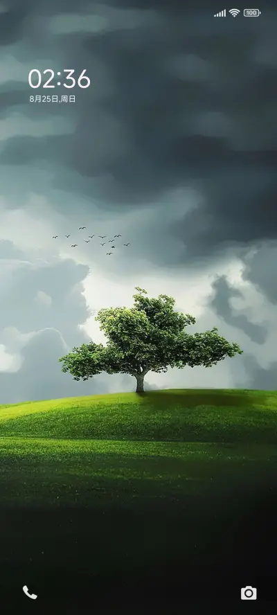 一棵树 护眼 - Screenshot 1