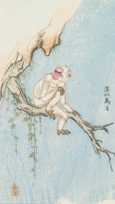 说“猴”与画猴 - Screenshot 1