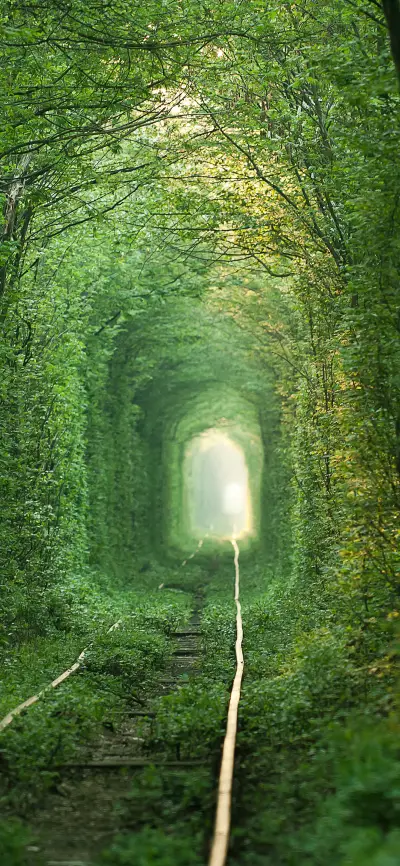 绿野仙踪-拍信图库