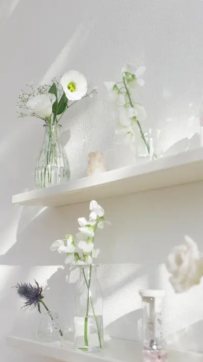 绿植怎么种更美？ - Screenshot 1