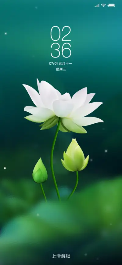 唯美莲花清新护眼