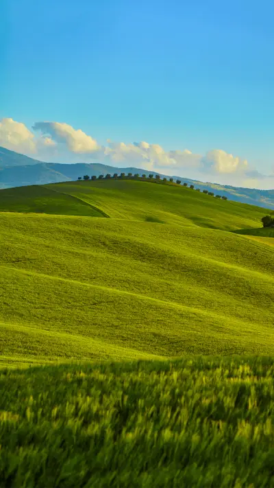 清新护眼-拍信图库