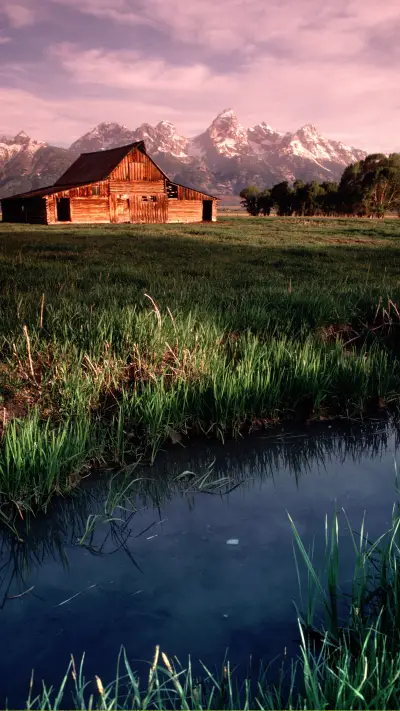 草原牧场-拍信图库 - Screenshot 1