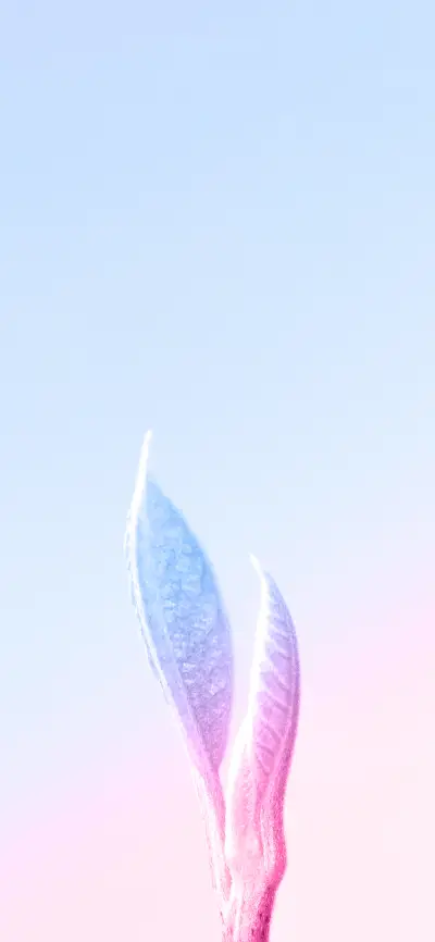 唯美创意壁纸-锐景创意