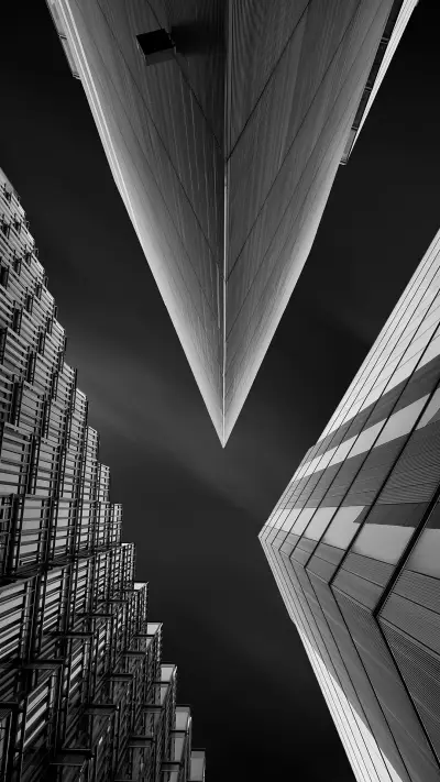 黑白-视觉中国 - Screenshot 1