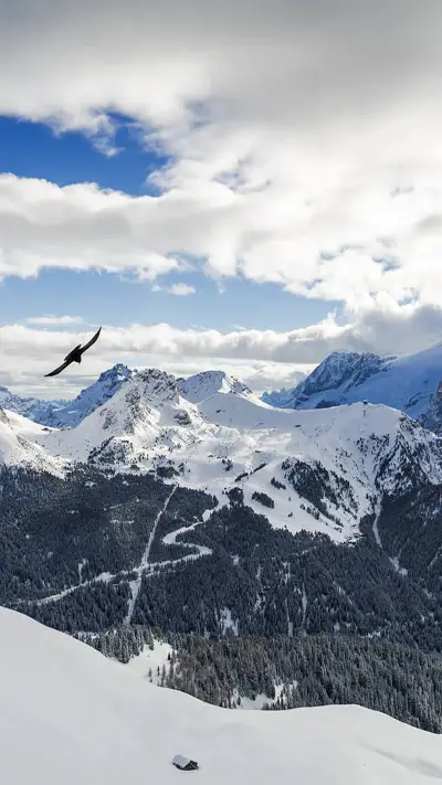 拥抱自然-拍信图库 - Screenshot 1